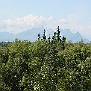 Picture 011